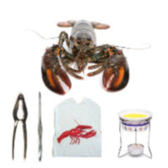 Live Lobsters Dinner Kits - Select from 2, 4, 6, or 8 Quantity