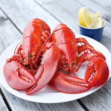 Live Lobsters - Select from 2, 4, 6 or 8 Quantity