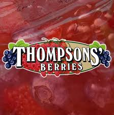 Thompson's Berries Strawberry Rhubarb Jam - 250 ml