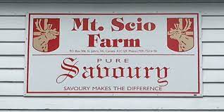 Mt. Scio Farm Newfoundland Savoury - 454g / 1 Pound Bulk Size